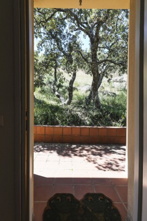 Jardín